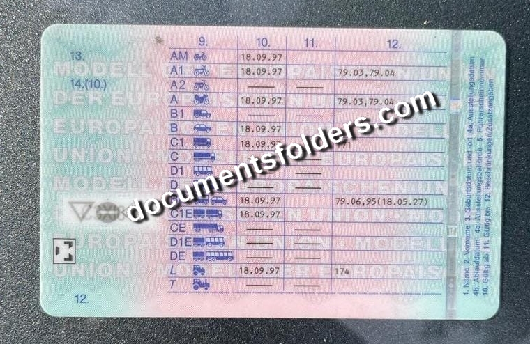 German driving license back real