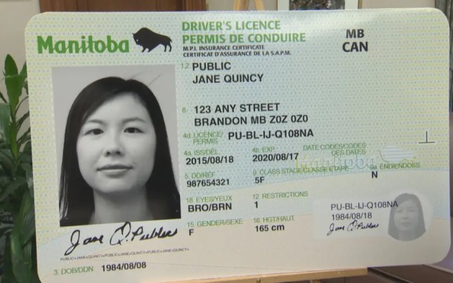 Buy Manitoba Driver's License