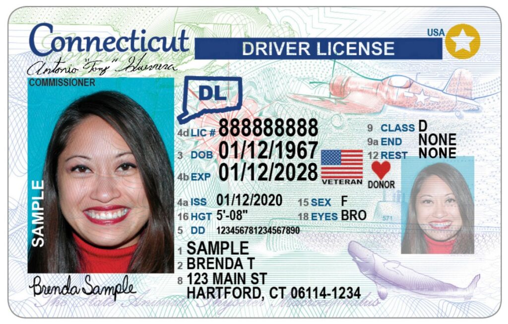 Buy Connecticut Driver’s License Without Test